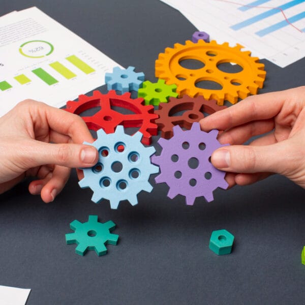 Professional Services (Implementation)
